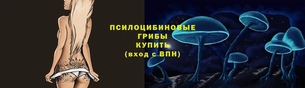 ешки Михайлов