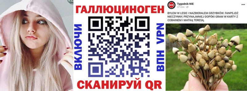 Псилоцибиновые грибы прущие грибы  MEGA ссылки  Спас-Клепики 